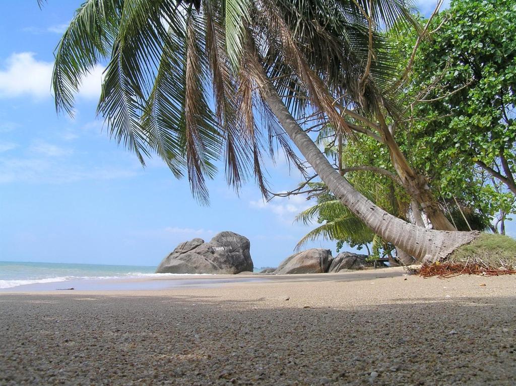 Thong Yang Bungalow Ko Pha Ngan Esterno foto